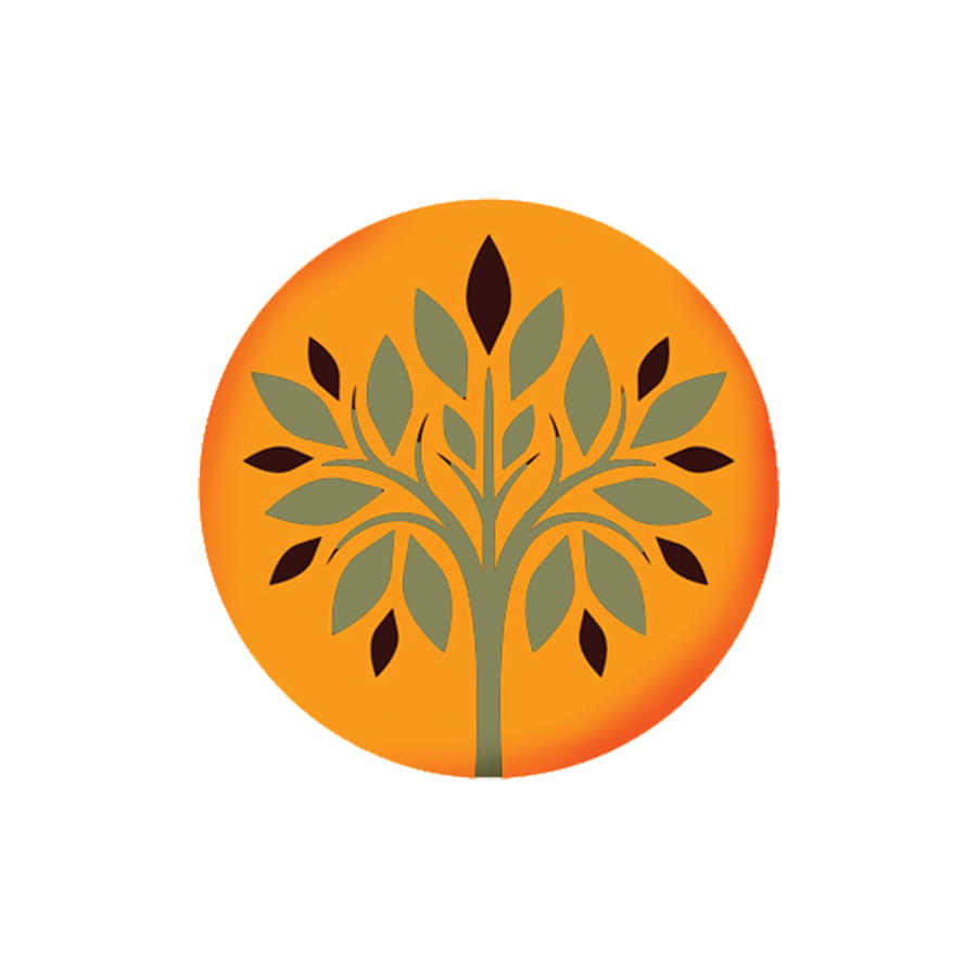 A Foundation for Elder Care logo